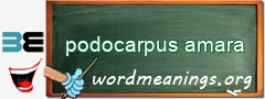 WordMeaning blackboard for podocarpus amara